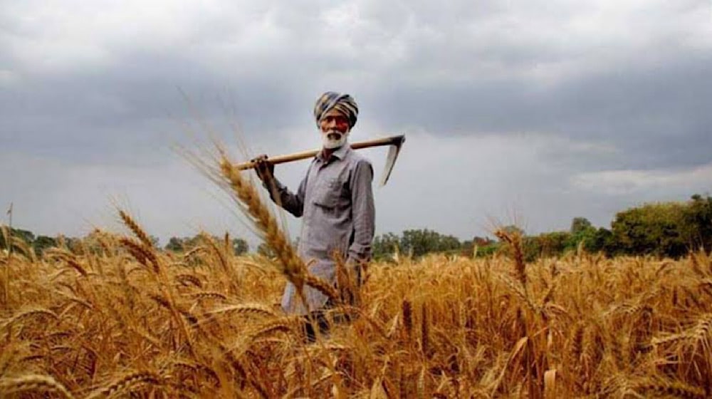 Compared to India, Next Fiscal Year Will Be A Nightmare for Pakistani Farmers