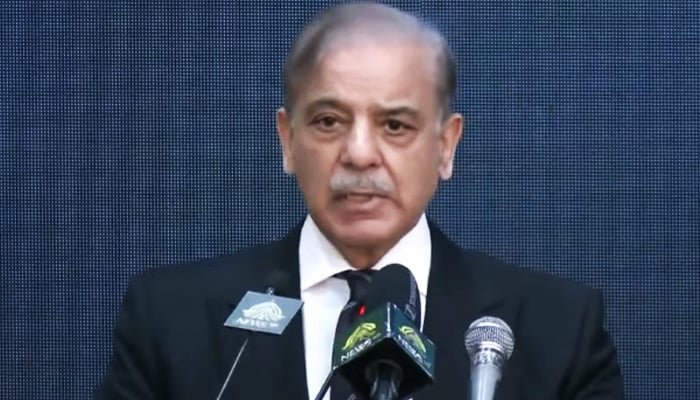 Electricity Price Cut Announced by PM Shehbaz