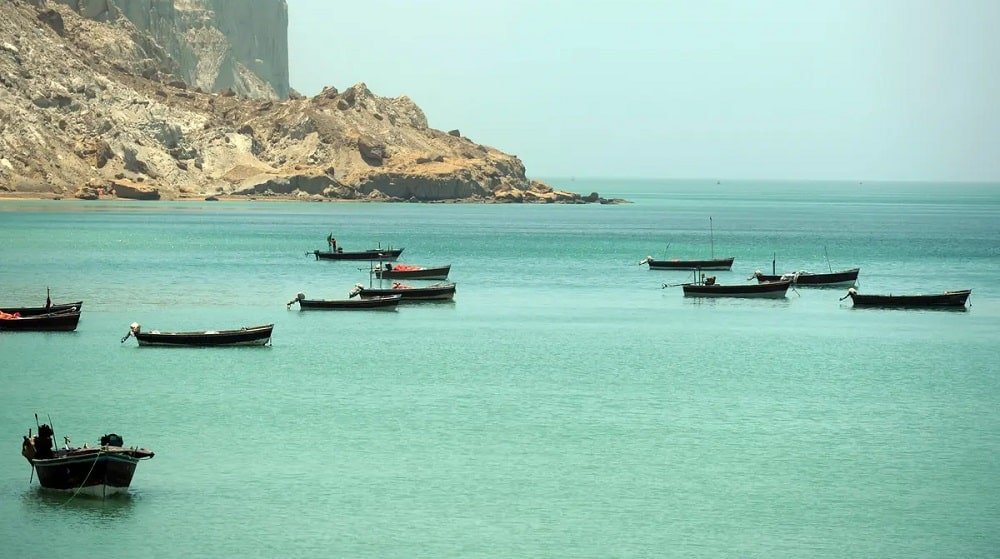 Pakistan Secures 2-Year Extension in Marine Mammal Protection Act Exemption Period