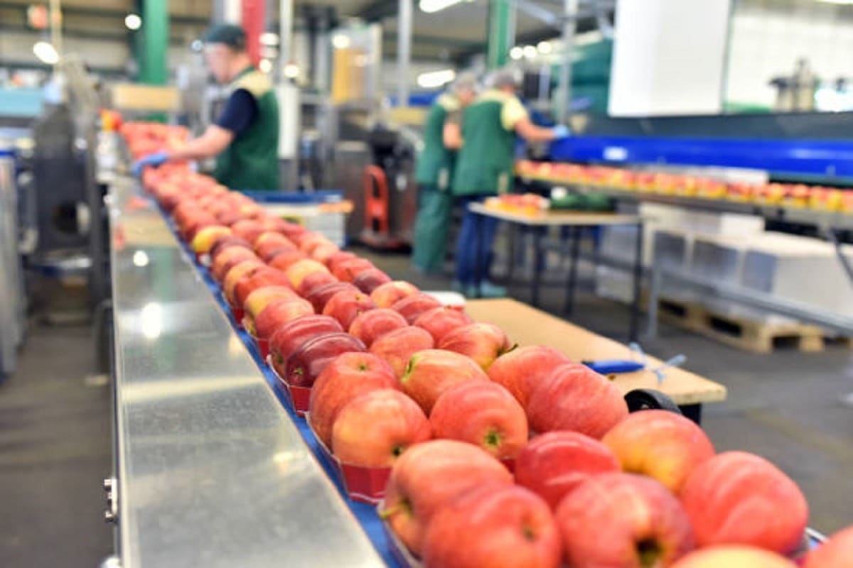 Pakistan’s Food Exports Rise Over $5.7 Billion in 9 Months of FY25