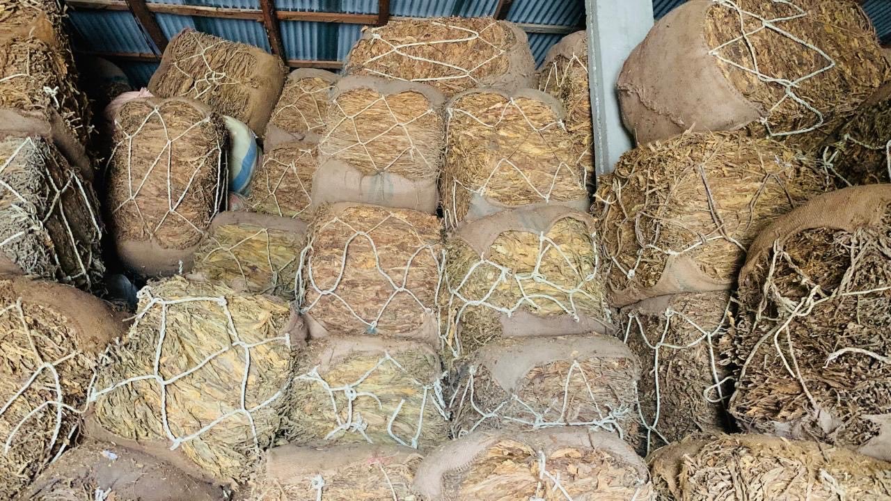 FBR Seizes Huge Quantity of Illicit Tobacco in Abbottabad