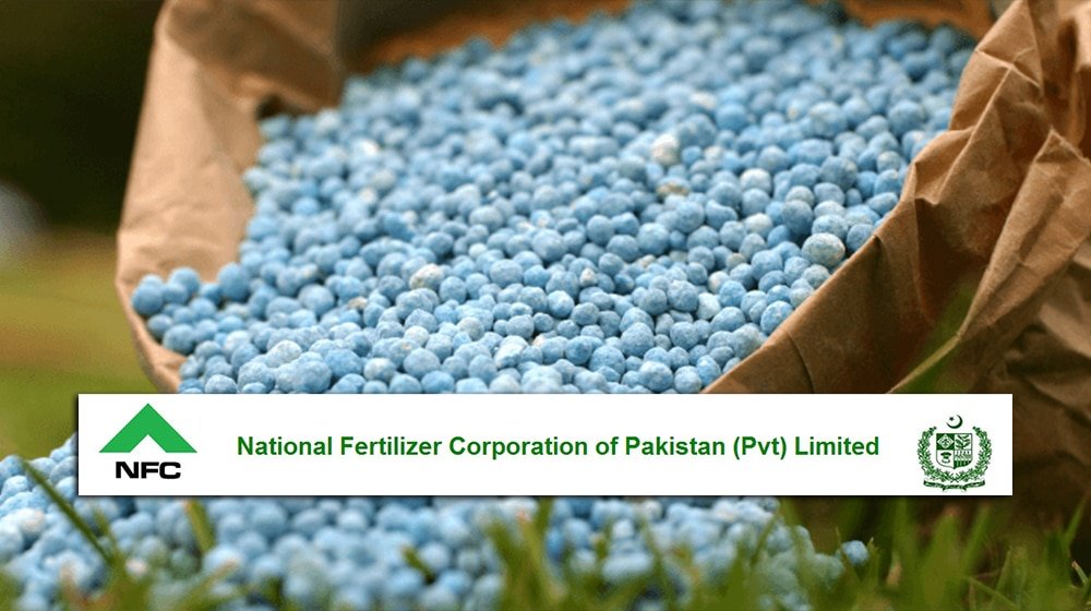 Federal Cabinet Okays Appointment of Interim CEO National Fertilizer Corporation