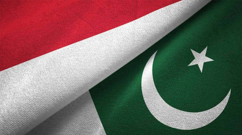 Pakistan, Indonesia Seal Major Deals Across Trade, Health, IT, and Education