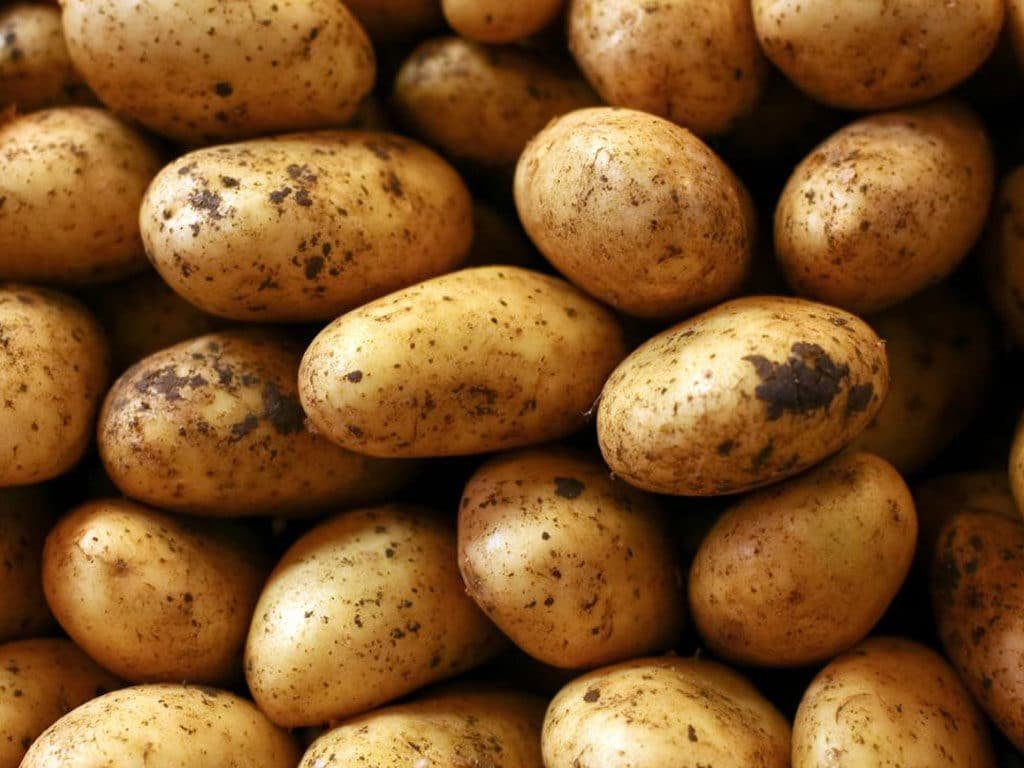 Pakistan Becomes World’s 9th Biggest Potato Producer