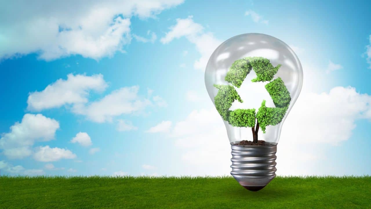 Experts Urge Govt to Navigate Clear Path for Holistic Shift to Renewable Energy