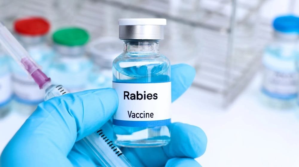 ECC Approves Increase in Maximum Retail Price of Anti-Rabies Vaccine 