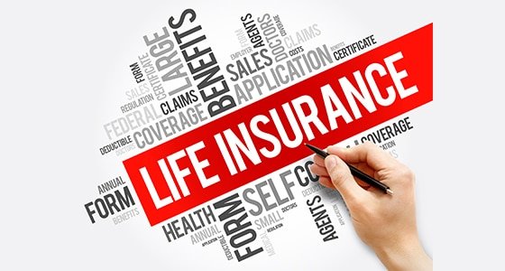 SECP Data Shows Life Insurance Sector Dominates with 64% of Industry Premiums