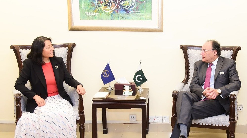 New ADB Country Director Calls on Finance Minister 