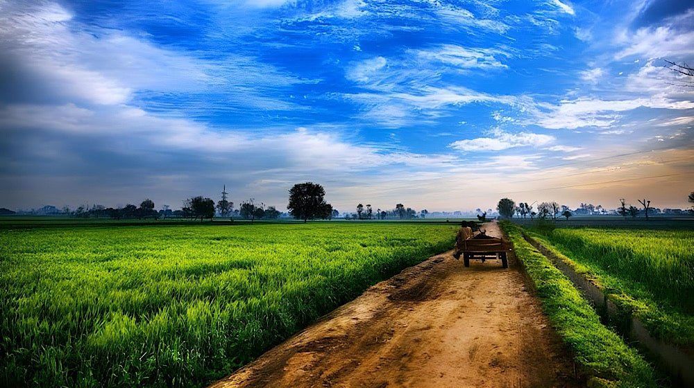 Govt Approves Green Building and Rainwater Harvesting Codes