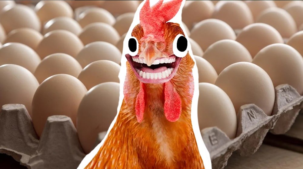 Egg Prices Soar to Record High in Islamabad