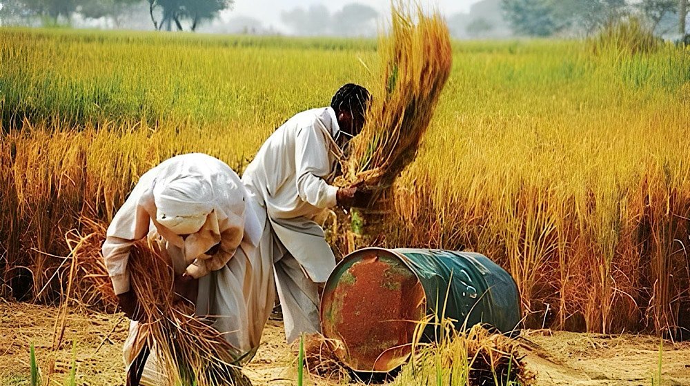 Govt Starts New Loan Scheme For Small Farmers