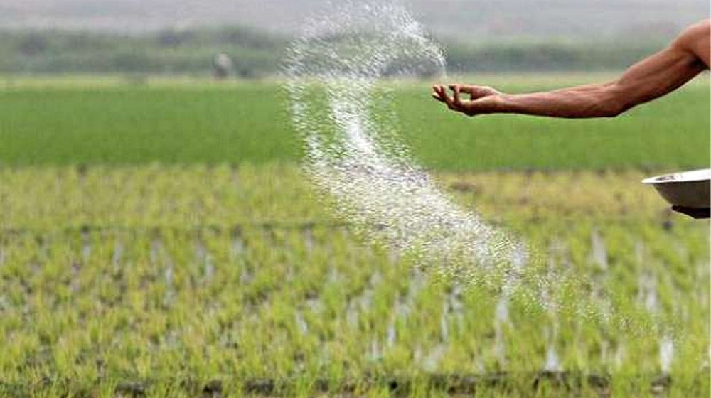 Fertilizer Sector Profits to Drop 20% in 3QCY25
