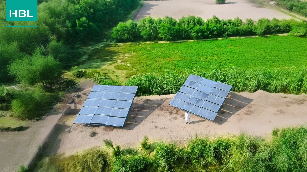 HBL Immediately Appoints New President & CEO After Aurangzeb’s Resignation