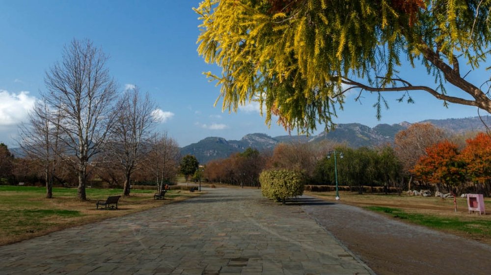 Committee Formed to Review Controversial Bidding of Islamabad’s Sector