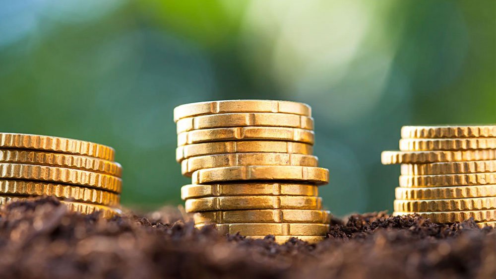 Senate Body Questions High Interest Rates Charged by Islamic Banks