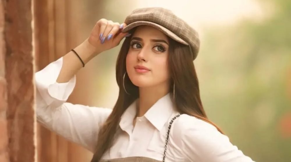 Punjab TikTokers Should Be FBR’s First Target for Tax Collection: Senator