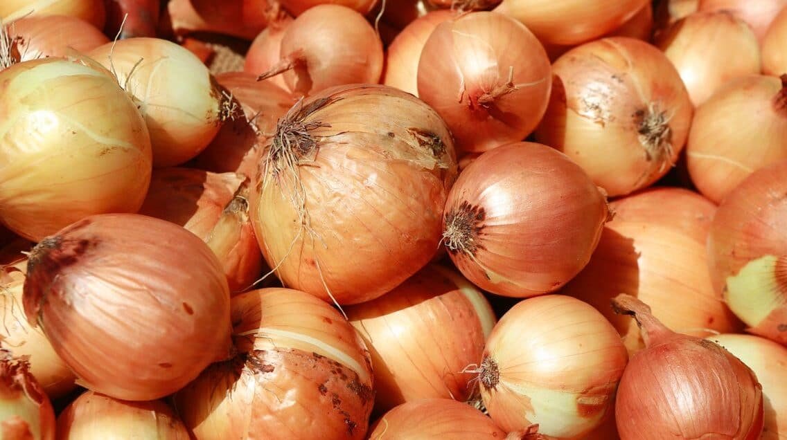 Govt Impose Restrictions On Onion Exports Amid Local Shortage and Price Hike