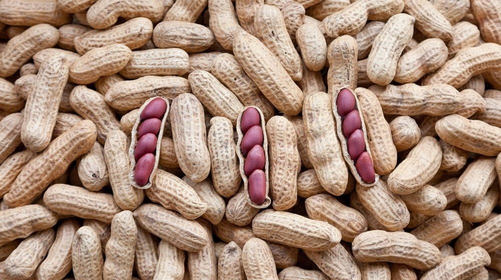 Section 205 Notice: Your Guide to Producing Accounts and Documents in Pakistan