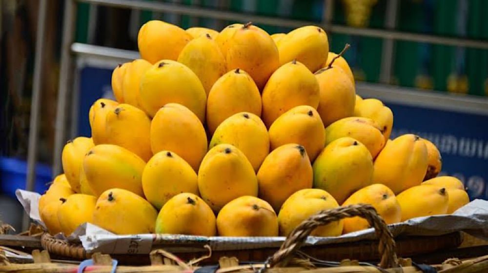 Pakistan Ensures SPS Compliance, Blocks Non-Compliant Mango Exports