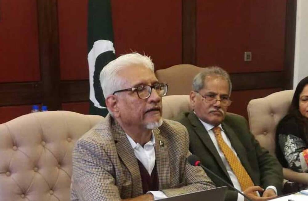 Political Instability Badly Damages Economy: PM’s Adviser