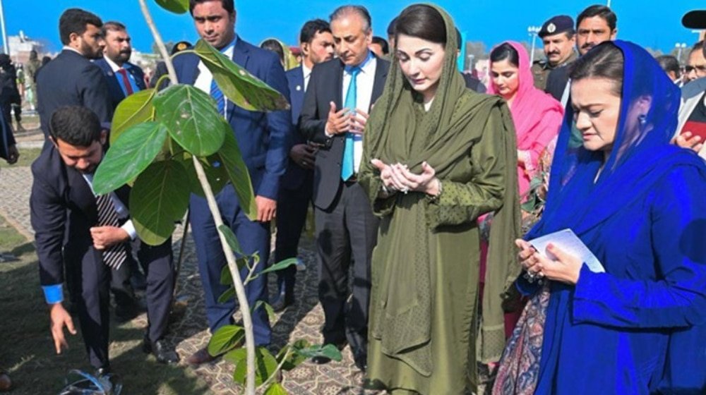 Punjab Sets World Record for Planting Most Trees in 60 seconds