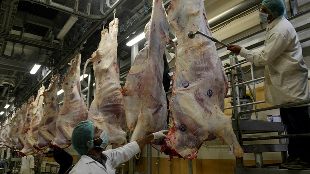 Chinese Trading Company Building A $50 Million Slaughterhouse in Gwadar
