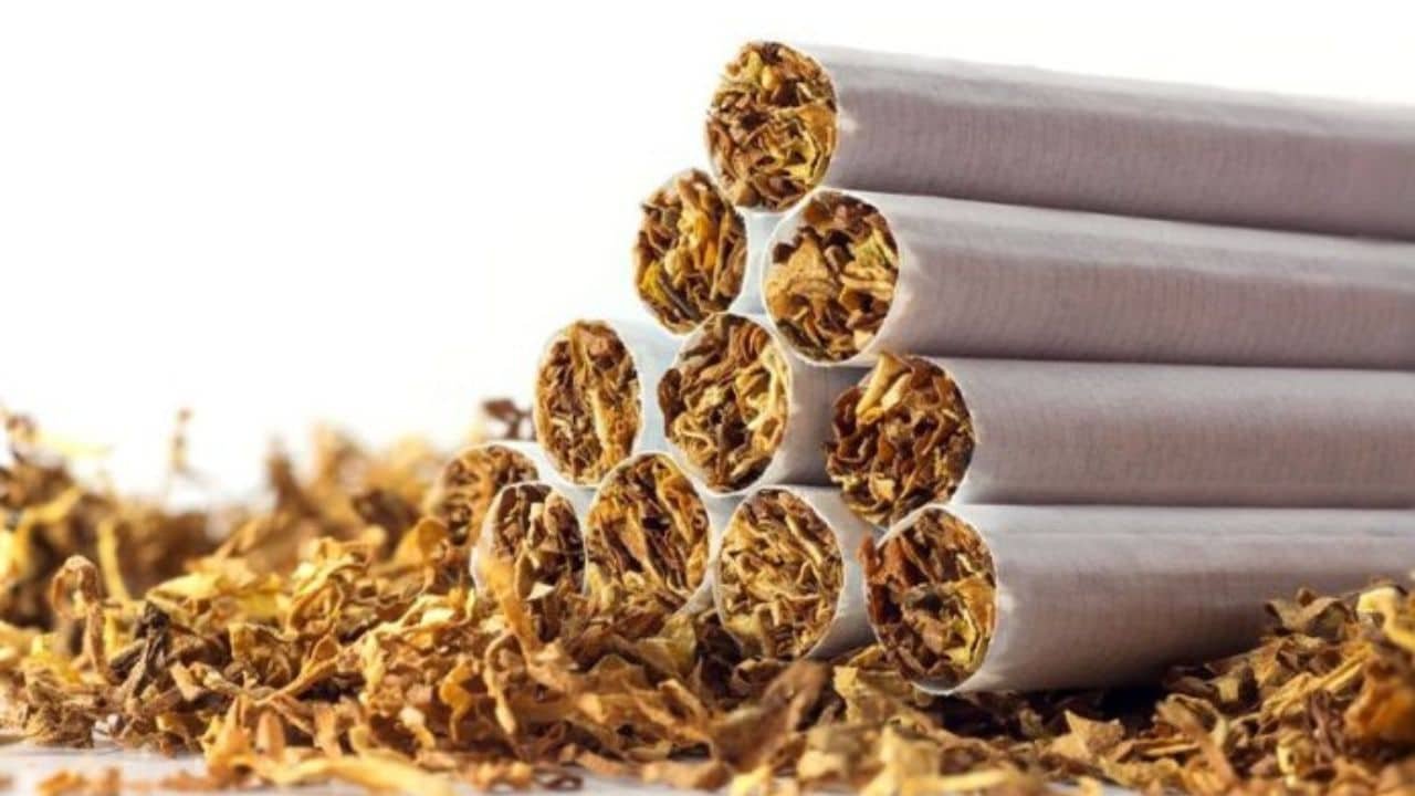 Pakistan Sets New All-Time High Monthly Tobacco Exports Record